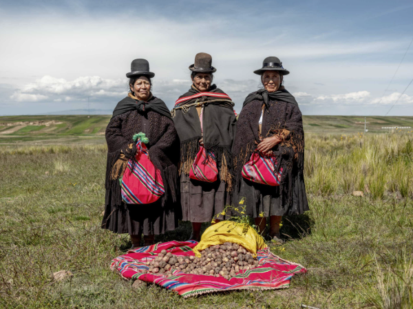 Captura de Pantalla 2026-03-26 a la(s) 17.23