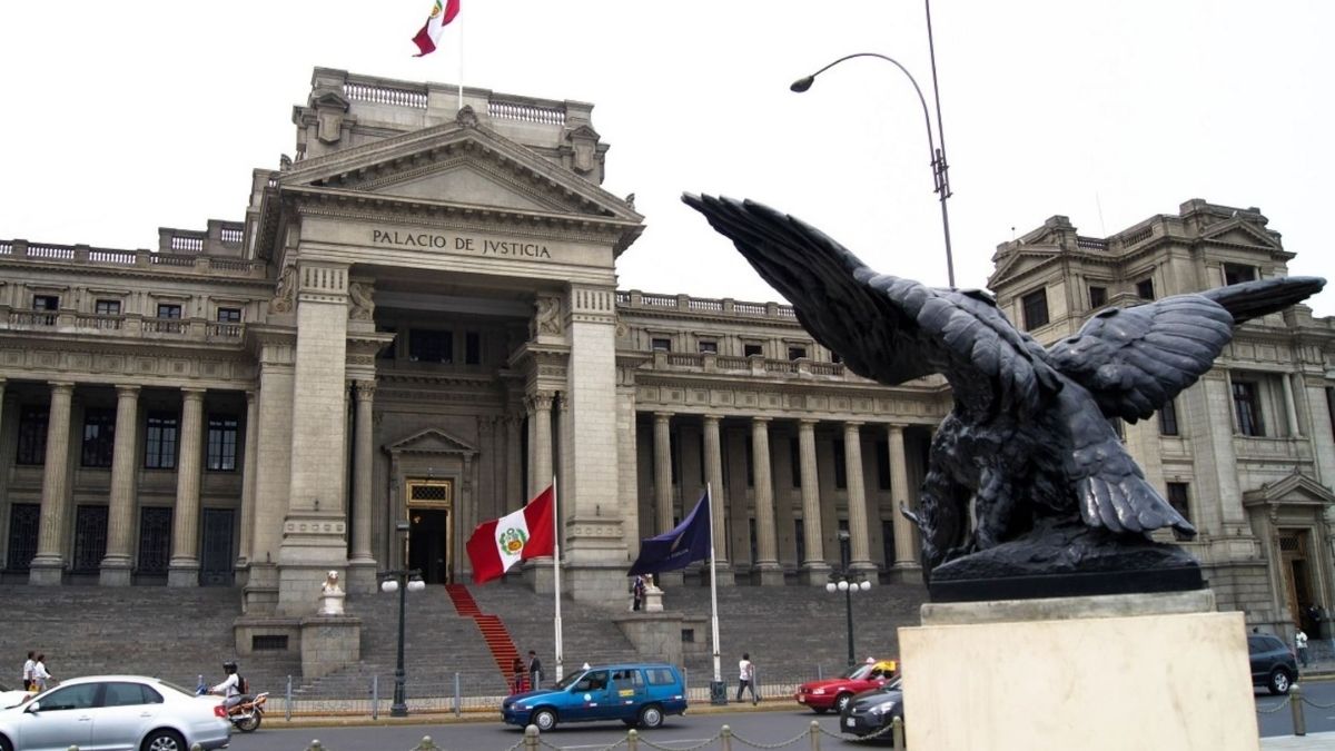 REFORMA JUDICIAL Y MANO DURA